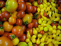 ccmof_website002028.jpg