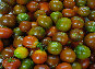 ccmof_website002035.jpg