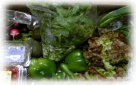 ccmof_website004007.jpg